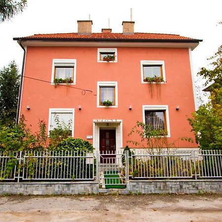 Guest House Pikapolonca Maribor Extérieur photo